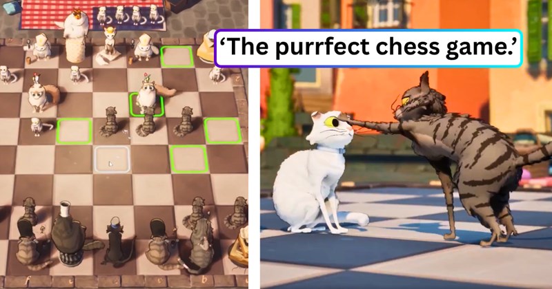 17 text pictures, 12 video game pictures | thumbnail includes two pictures from the video game Cat Chess, and ‘The purrfect chess game.’