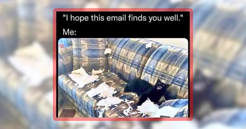 24 cat memes | thumbnail includes one meme including '"I hope this email finds you well." Me:'