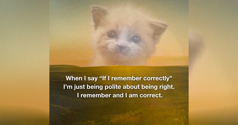  Heartwarmingly Wholesome Memes and Posts