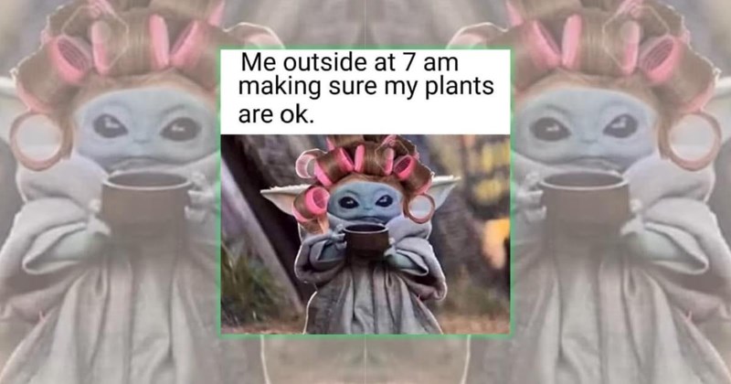 green gardening plants plant lover gardening memes Funny Memes - 45691141