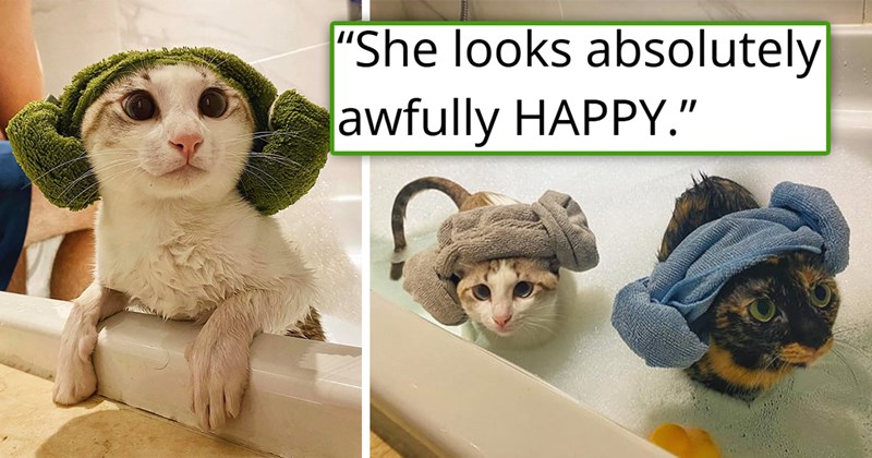 story about a rescued cat having to take a bath once and now loving baths | thumbnail includes two pictures of two cats in a bath full of water wearing cute towels on their heads 'She looks absolutely awfully HAPPY'