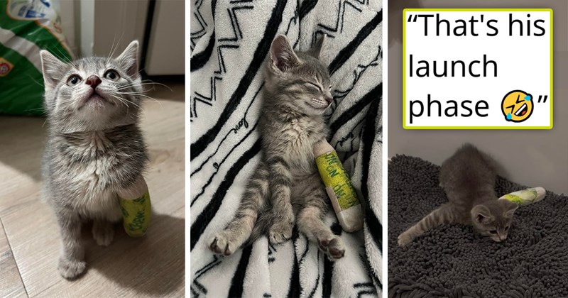 story about a kitten using her cast to launch herself into a fast run | thumbnail includes three pictures of a cute gray kitten in a bright yellow cast 'That's his launch phase'