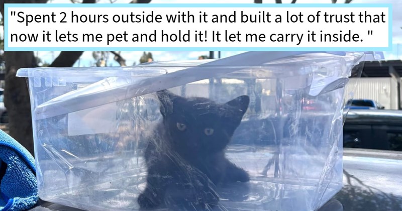 Man who found void kitten hiding car engine after two days of mysterious meows while driving gives fur baby a warm home after slow patience testing rescue, cat dad says: ‘ knew couldn’t leave there so tried lure with more treats’ | thumbnail includes one image which shows a small black kitten in a plastic box outside ‘“Spent 2 hours outside with it and built a lot of trust that now it lets me pet and hold it! It let me carry it inside.”’