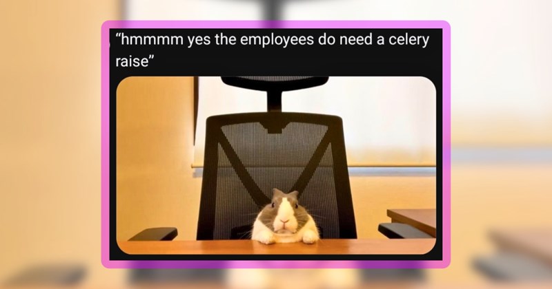 34 bunny memes | thumbnail includes one meme including 'hmmmm yes the employees do need a celery raise'
