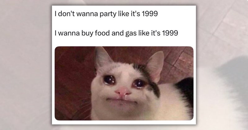 25 cat memes | Thumbnail includes one meme including 'I don't wanna party like it's 1999 I wanna buy food and gas like it's 1999'