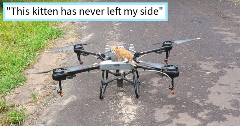 Orange kitten holds drone pilot hostage, screaming at him climbing his pants until agreed give him furever home, rescuer says: ‘He's extra affectionate, still crazy kitten playful.’  | thumbnail includes one image which shows a orange kitten standing on a large drone on tarmac ‘“This kitten has never left my side”’