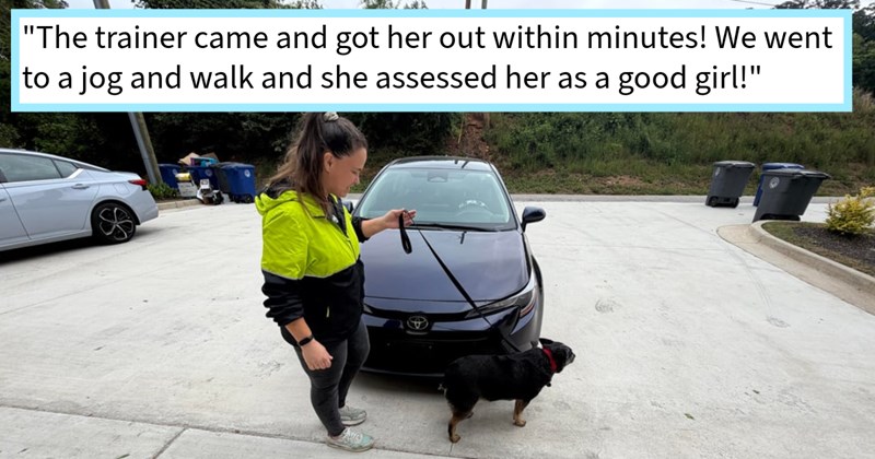 College janitor adopts dumped Australian Cattle dog, but finds out pawfect pupper came with few surprises, dog mom says: ‘For first three days she was normal dog but moment I left she shut down completely.’ | thumbnail includes one image which shows a woman holding a leash connected to small black dog in driveway next to car ‘“The trainer came and got her out within minutes! We went to a jog and walk and she assessed her as a good girl!”’