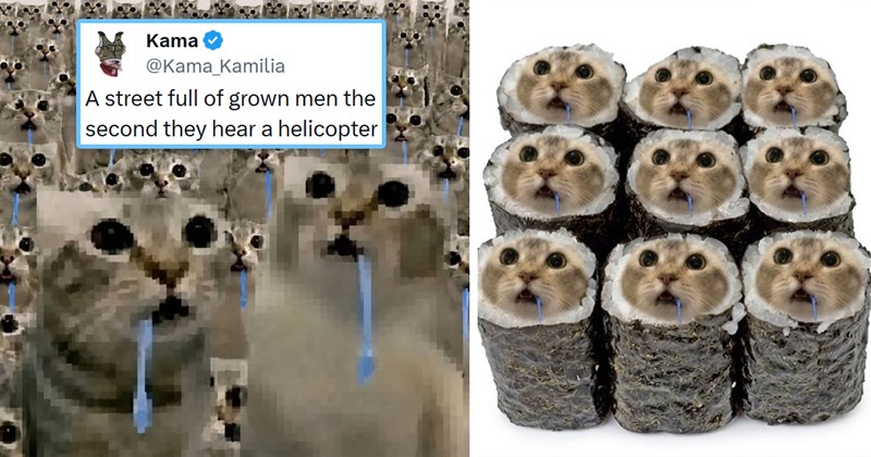 new drooling cat meme goes viral on X | thumbnail includes two pictures of the viral drooling cat meme 'Kama @Kama Kamilia A street full of grown men the second they hear a helicopter'