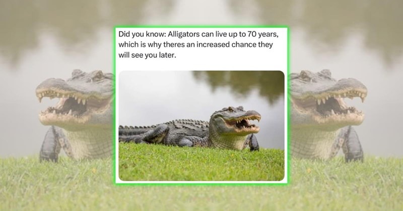 relatable memes mood booster funny memes Funny Memes - 45776133