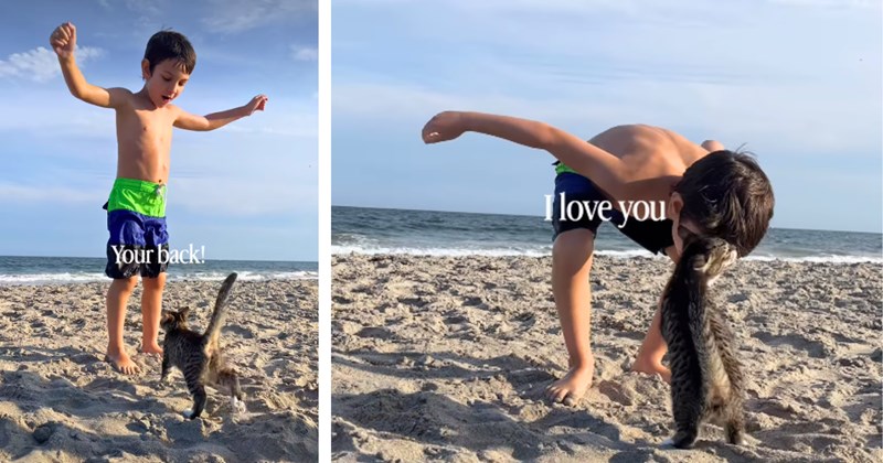 12 text pictures, 8 kitten pictures, 2 kid and kitten pictures | thumbnail includes one kid and kitten picture including 'Your back!', and one kid and kitten picture including 'I love you'
