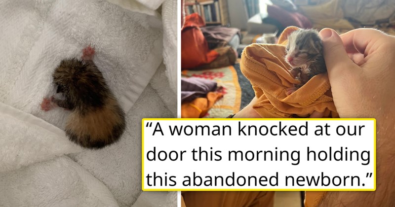 story about someone finding a kitten with the umbillical chord still attached and rescuing and adopting her | thumbnail includes two pictures including a tiny kitten on a blanket and someone holding a kitten 'A woman knocked at our door this morning holding this abandoned newborn'