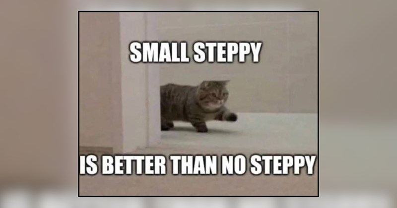 28 cat memes | thumbnail includes one meme and one picture of text including 'SMALL STEPPY IS BETTER THAN NO STEPPY' 