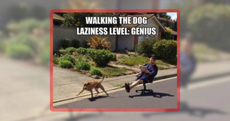 23 dog memes | thumbnail includes one meme including 'WALKING THE DOG LAZINESS LEVEL: GENIUS'