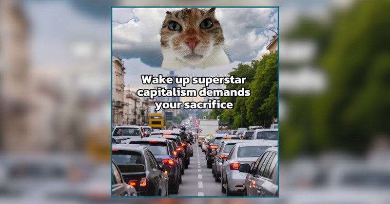 A Fresh Batch of Cat Memes For Coffee Lovers on a Caffein Hiatus 