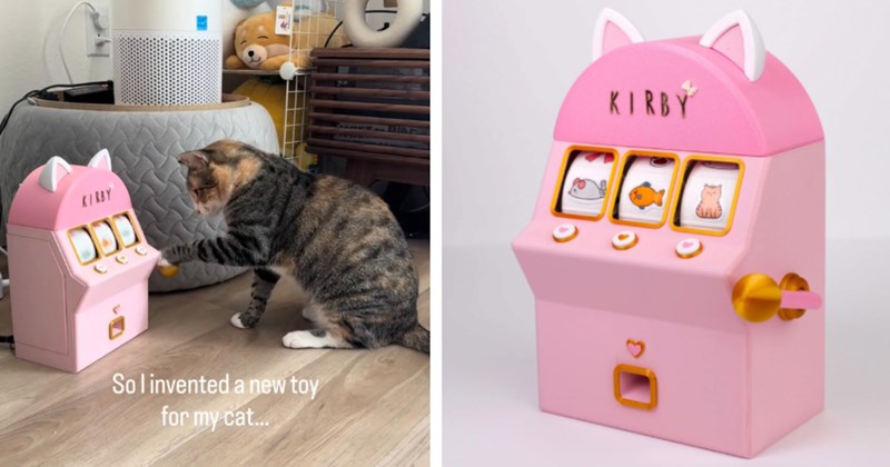 Story and video of new cat toy that dispenses treats like a slot machine | Thumbnail includes one picture of a cat and a cat toy slot machine including 'KIRBY cee levoit Sol invented a new toy for my cat...' and one picture of a cat toy slot machine including 'KIRBY CCB'