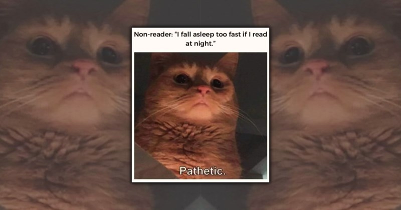 relatable memes book memes funny memes Funny Memes - 45829381