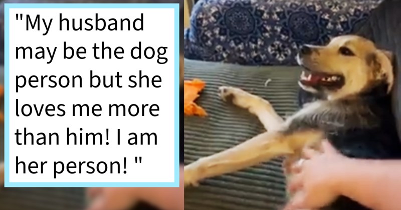 Husband surprises cat loving wife adopted puppy who ends up making her his pawson, converting her full blown doggo doter, says: ‘didn’t think was possible to love DOG much as I love my cats, but here I am.’  | thumbnail includes one image which shows a brown and black dog lying on couch getting pets ‘“My husband may be the dog person but she loves me more than him! I am her person!”’