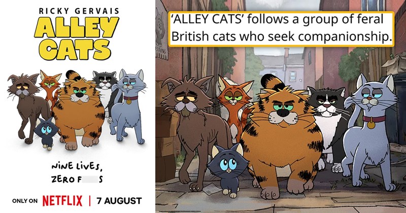 Alley cats, a new adult animated cat series by Ricky Gervais | thumbnail includes two images of animated cats 'RICKY GERVAIS ALLEY CATS NINE LIVES, ZERO F S ONLY ON NETFLIX 7 AUGUST' and '‘ALLEY CATS’ follows a group of feral British cats who seek companionship.'