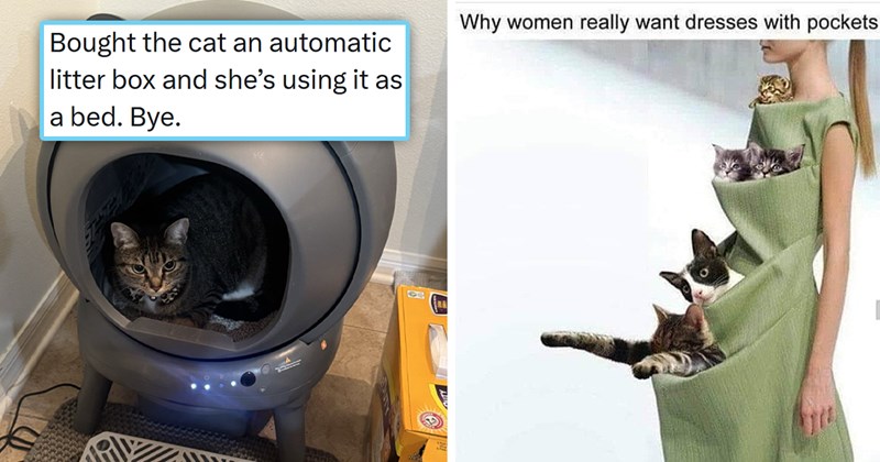 The best tweets memes and stories from ICanHasCheezbuger this week | thumbnail includes two pictures including a meme of a woman wearing a dress with many pockets and cats in each pocket 'Why women really want dresses with pockets' and a tweet of a cat in an automatic litter box 'Bought the cat an automatic litter box and she's using it as a bed'