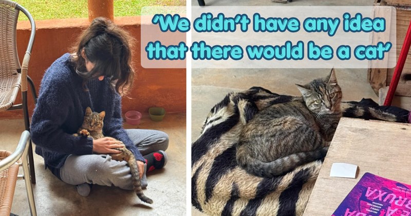 Story of a couple rescuing a stray cat that they found at their Airbnb film set | Thumbnail includes one picture of a young woman holding a cat in her lap, one picture of a cat inside of a house, and one picture of text including '‘We didn’t have any idea that there would be a cat’'