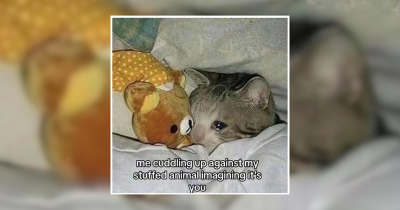 humor wholesome hilarious relatable memes relatable funny memes Memes funny Funny Memes - 45851653