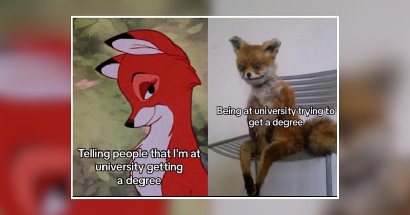 humor wholesome hilarious relatable memes relatable funny memes Memes funny Funny Memes - 45853445