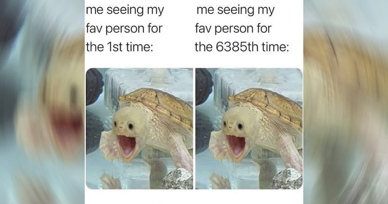 Heartwarmingly Wholesome Memes and Posts