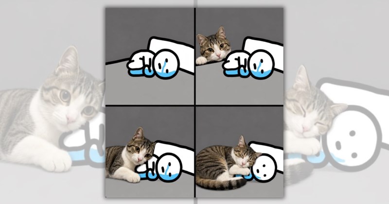 27 cat memes and posts | Thumbnail includes one meme of a cat curling up next to a crying stick figure