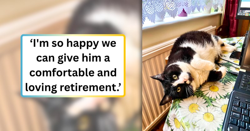 13 text pictures, 2 cat pictures | thumbnail includes one cat picture, and ‘I'm so happy we can give him a comfortable and loving retirement.’