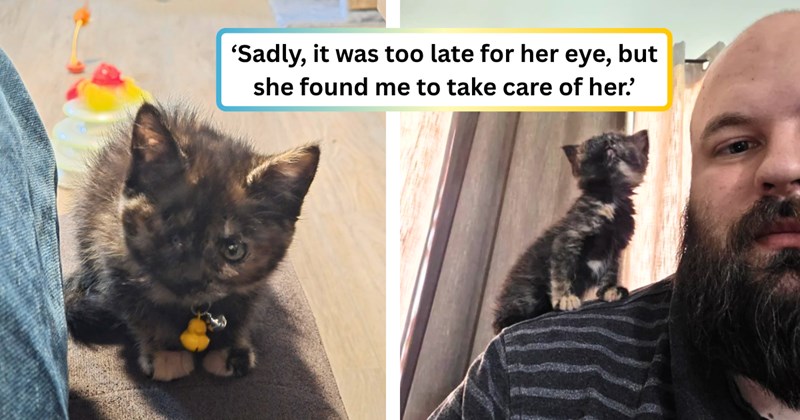 25 text pictures, 8 cat pictures, 2 kitten and man pictures, 1 cat and text pictures | thumbnail includes one picture of a kitten and a man, one cat picture, and ‘Sadly, it was too late for her eye, but she found me to take care of her.’
