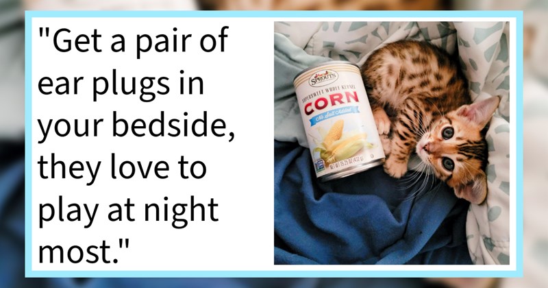 15 Things New Pawrent Frequently Forget When Preparing Cat Child’s Furever Home | thumbnail includes one image which shows a bengal kitten lying next to can of corn on blankets ‘“get a pair of ear plugs in your bedside, they love to play at night most.”’
