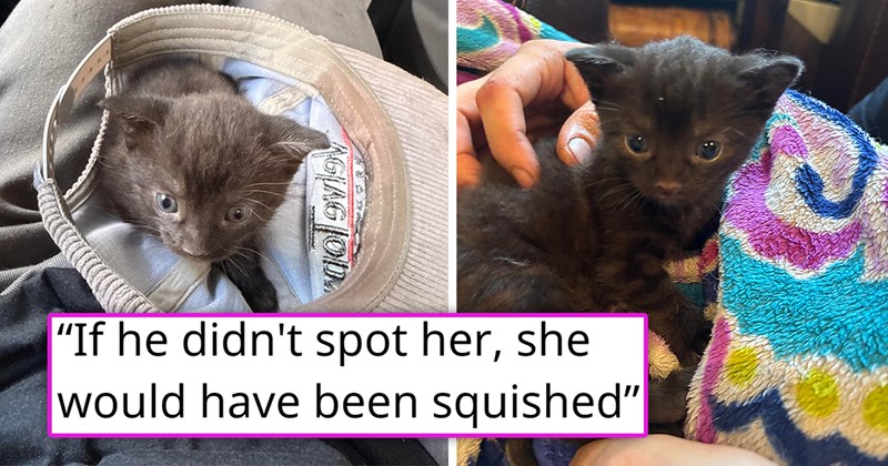 story about a son saving a kitten from being squished | thumbnail includes two pictures of an adorable black kitten 'If he didn't spot her she would have been squished'