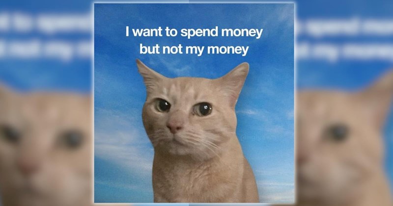 30 Feline-Filled Funny Memes for a Moment of Pawdorable Peace