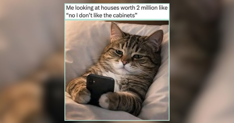 28 Purrfect Feline Memes for a Meditative Friday Meowment