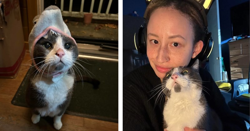 After her soul-cat peacefully crosses rainbow bridge, veterinarian recounts the story of how rescuing him is what made her choose to become a vet, changing the lives of countless other cats and kittens 