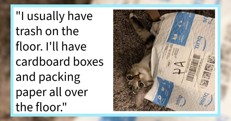 17 Crafty Cat Hacks Help Handle Your Clawminal Cat Child | thumbnail includes one image which shows a tabby cat peaking out of a soft shell amazon package ‘“I usually have trash on the floor. I’ll have cardboard boxes and packing paper all over the floor.”’