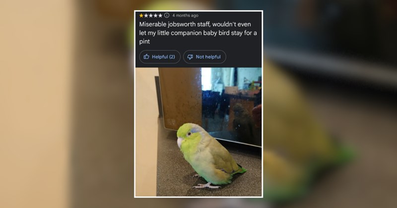 humor wholesome hilarious relatable memes relatable funny memes Memes funny Funny Memes - 45935877