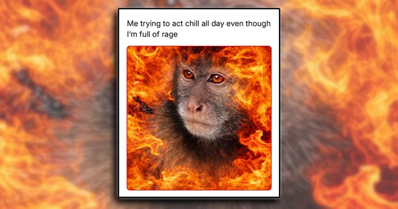 therapist humor therapy self improvement comedy mental health self care funny Self-Improvement - 45950725