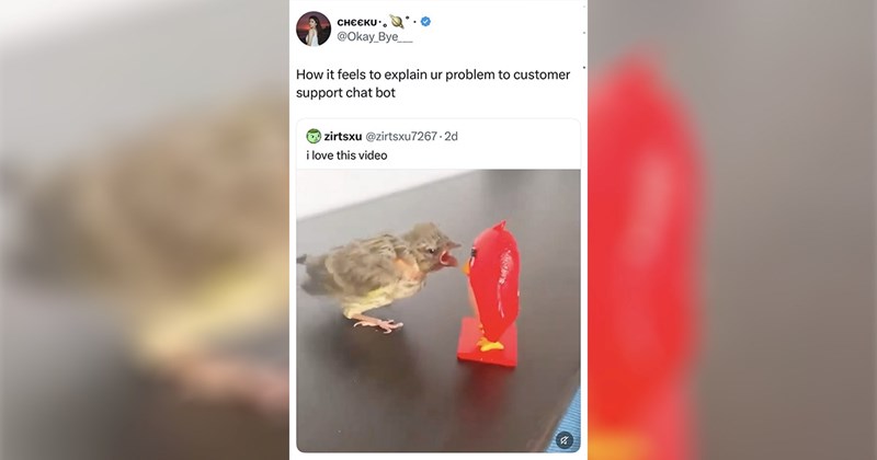 women tweets funny memes fresh tweets relatable tweets tweets funny parenting tweets cat tweets viral trending funny tweets trending tweets parenting tweets animal tweets tweet random tweets funny Chronically Online - 45951493