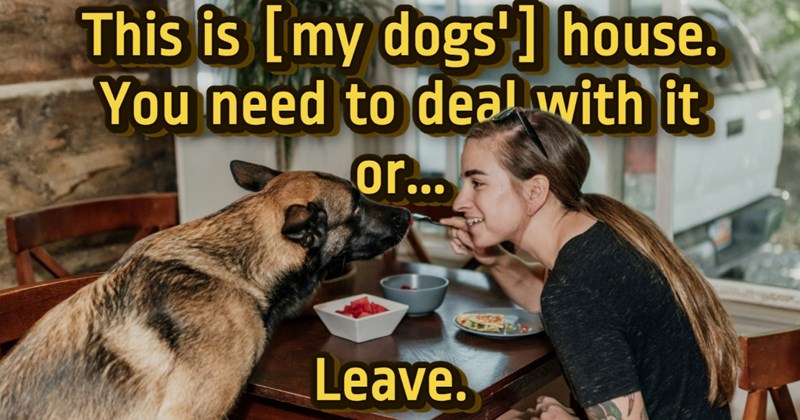 dog ownership Relationships guest etiquette debate aita social discourse pet etiquette reddit story 4th of july online discourse guest boundaries pet owners - 45953029