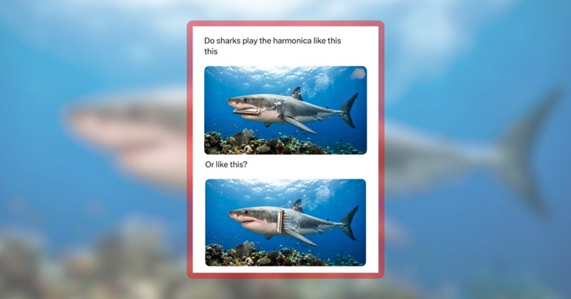 22 animal memes | thumbnail includes one meme including 'Do sharks play the harmonica like this this Or like this?'