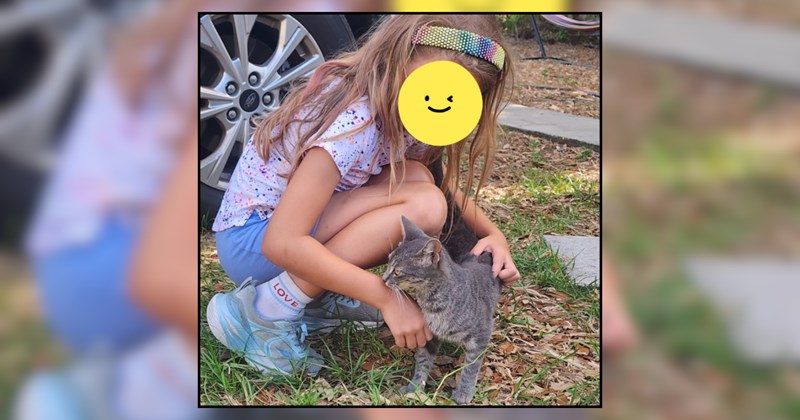 Parents say 'no cat' for 7-year-old girl's birthday, but the cat distribution system has something else in mind, surprising her with a kitty who chooses both her and her parents, forcing them to accept their daughter's new best friend