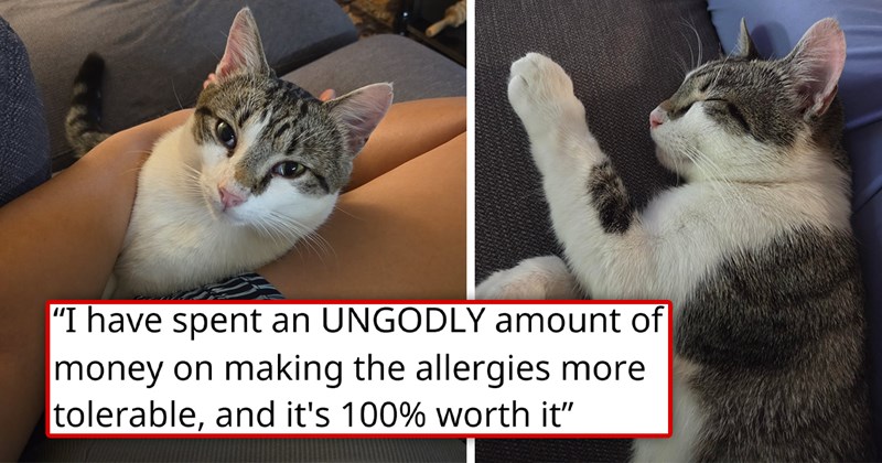 story about an allergic woman adopting a cat with her boyfriend because the cat chose her | thumbnail includes two pictures of a cute cat cuddling with a person 'I have spent an UNGODLY amount of money on making the allergies more tolerable, and it's 100% worth it'