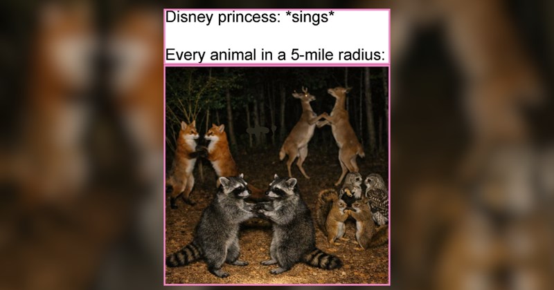 26 Delightful Animals to Make Today Feel a Little Softer