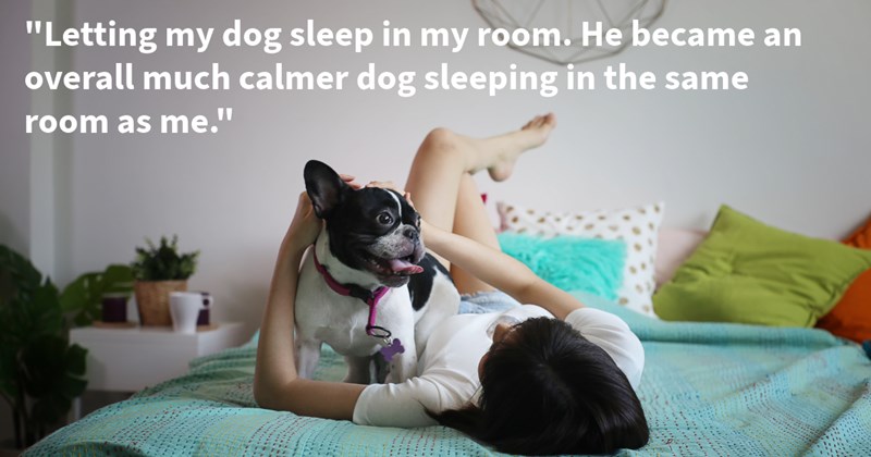 18 Clever Concepts Keep Your Dog Calm Yourself Sane | thumbnail includes one image which shows a black and white dog standing on bed being cuddled by woman lying on back on bed ‘“Letting my dog sleep in my room. He became an overall much calmer dog sleeping in the same room as me.”’