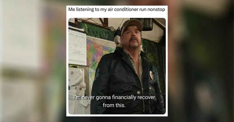 funny random memes relatable memes work memes dog memes silly memes funny memes dank memes meme silly animal memes funny cat memes Funny Memes - 45990405