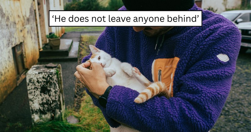 22 pictures of cats and text | thumbnail includes picture of a cat and one picture of text including '‘He does not leave anyone behind’' 