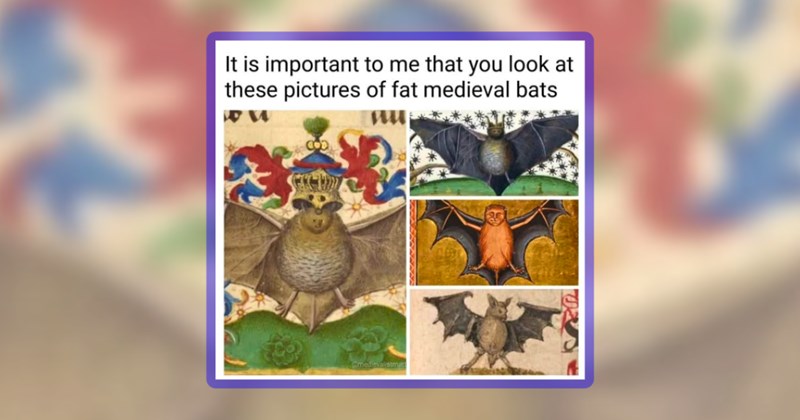 24 animal memes | thumbnail includes one meme including 'It is important to me that you look at these pictures of fat medieval bats'