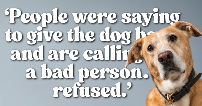Story of rescuer claiming lost dog after shady owner won't commit | Thumbnail includes one picture of an adoption portrait for curious dog, and one picture of text including '‘People were saying to give the dog back and are calling me a bad person. I refused.’'