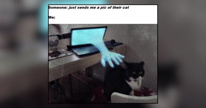 30 cat memes | thumbnail includes one meme and one picture of text including 'Someone: just sends me a pic of their cat Me:' 